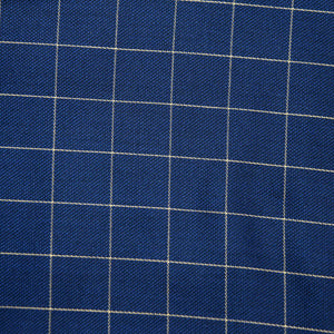 Princeton Blue Plaid Suit